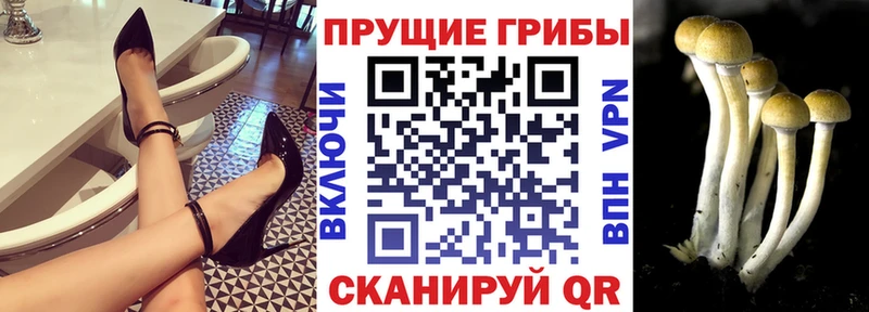 Галлюциногенные грибы прущие грибы  где купить наркоту  Байкальск 